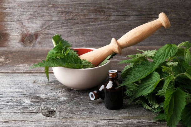 Usos de la ortiga y componentes activos