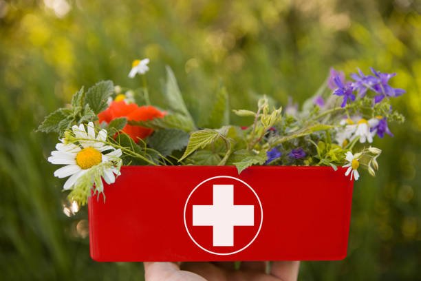 botiquín natural casero