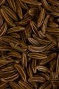 Detailed close-up of brown caraway seeds, ideal for spice and culinary themes. Perfect for food-related content.