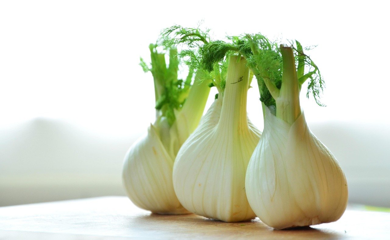 fennel, vegetables, fennel bulbs, food, healthy, fresh, meal, vitamins, fennel vegetable, kitchen, preparation, still life, fennel, fennel, fennel, fennel, fennel