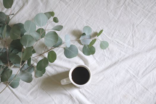 A soothing flat lay of black coffee with eucalyptus on a white linen background. una de las Plantas para la tos y problemas respiratorios