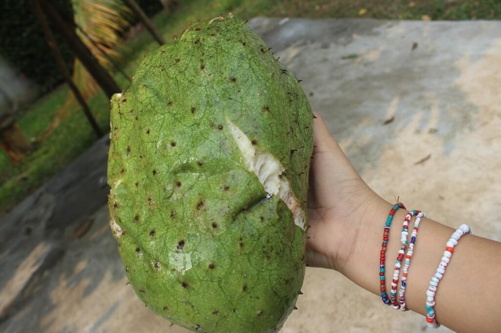 fruit, guanabana, healthy, green, delicious, farming, vegetarian, tree, find, natural, custard apple, guanabana, guanabana, guanabana, guanabana, guanabana, custard apple, custard apple