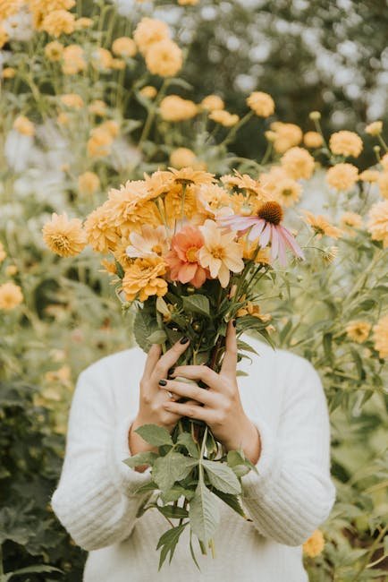 Plantas medicinales con efectos antivirales. Echinacea