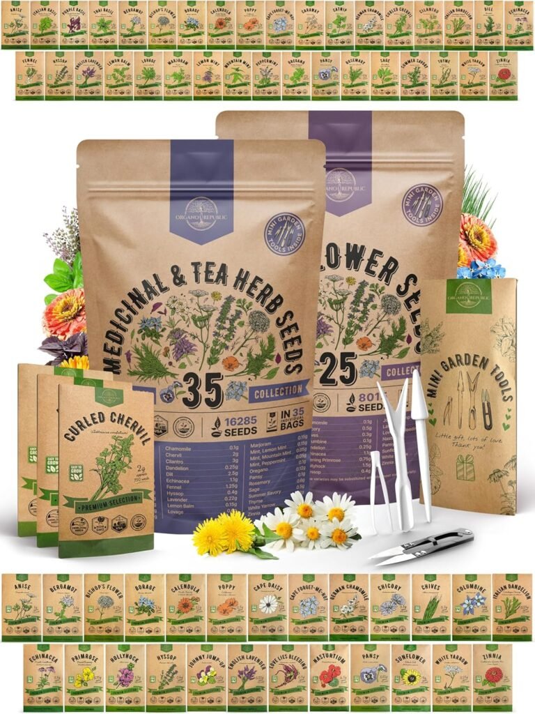 kit de plantas medicinales