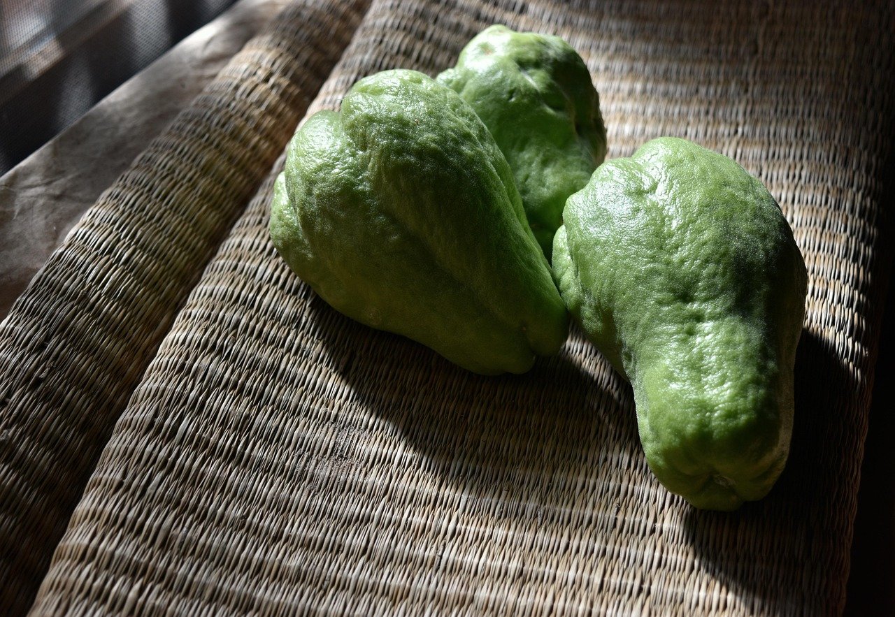 chayote, vegetable, food, vegetable pear, mirliton, choko, harvest, produce, christophene, chayote, chayote, chayote, chayote, chayote