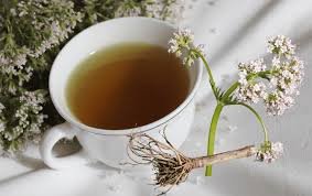 infusion de te de valeriana para dormir mejor