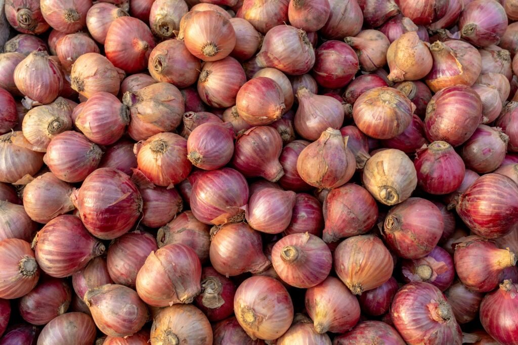 allium cepa o cebolla roja