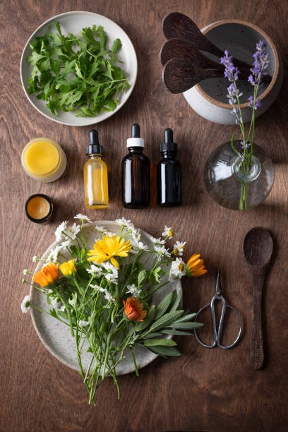 Hierbas y plantas medicinales frescas