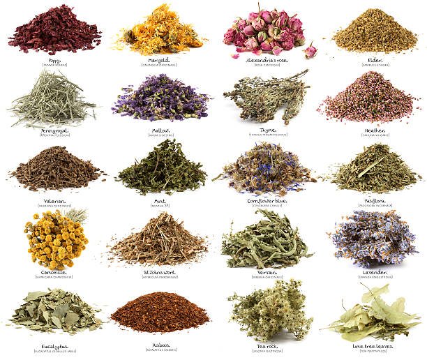 plantas para infusiones