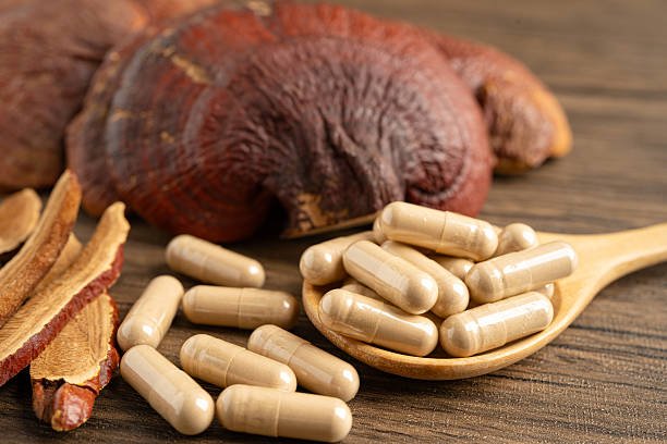 Hongo Ganoderma lucidum (Reishi o Lingzhi) sobre tronco de árbol, empleado en medicina integrativa para reforzar el sistema inmune