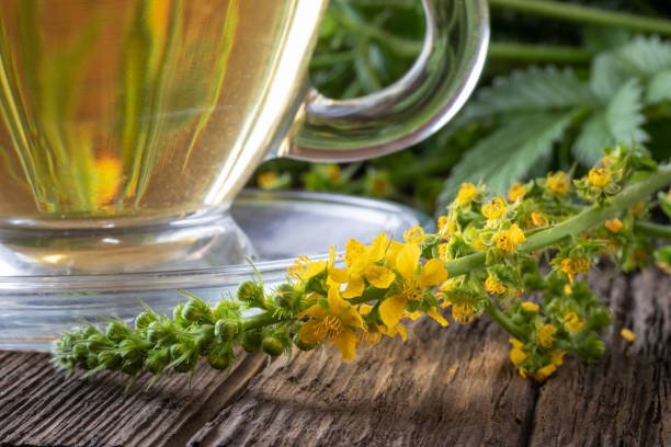 Raíz seca de ashwagandha (Withania somnifera), adaptógeno ayurvédico con evidencia para reducir el cortisol en el estrés crónico