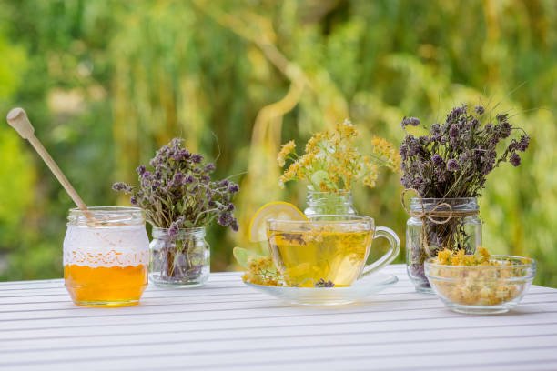 Colección de plantas medicinales para la ansiedad: melisa, manzanilla, lavanda, pasiflora y raíz de ashwagandha sobre fondo natural