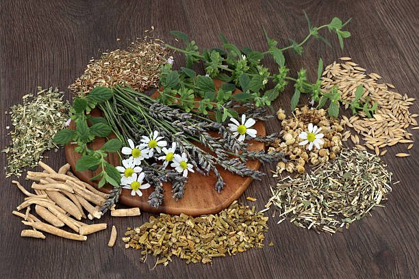 Plantas medicinales para la migraña — fitoterapia clínica