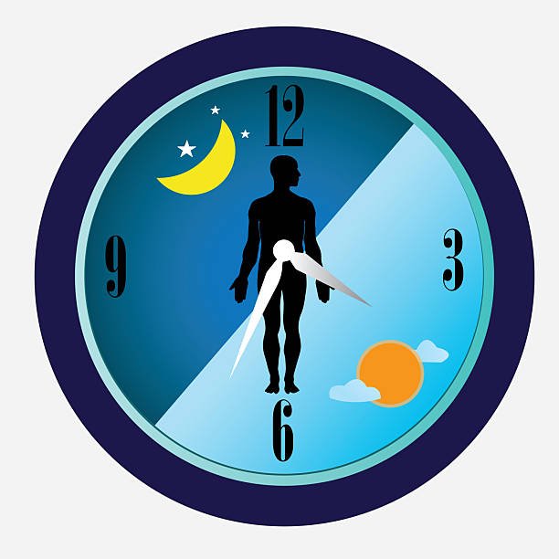 Gráfica del ritmo circadiano del cortisol: pico matutino y descenso nocturno normal comparado con perfil de cortisol alto en estrés crónico