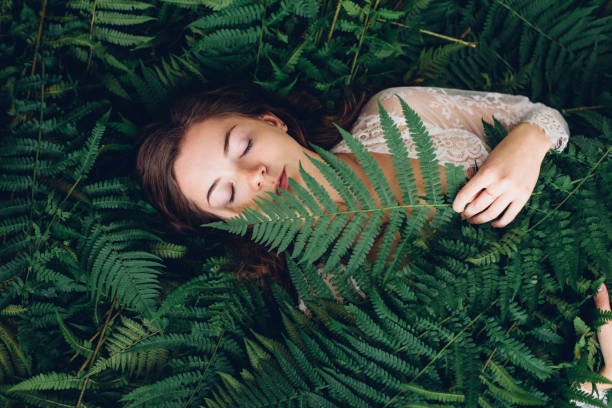 Hierbas GABAérgicas para dormir: fitoterapia natural para reducir la latencia del sueño sin efecto resaca matutina